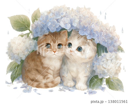 あじさいの下で仲良く雨宿りする2匹の猫 138011561