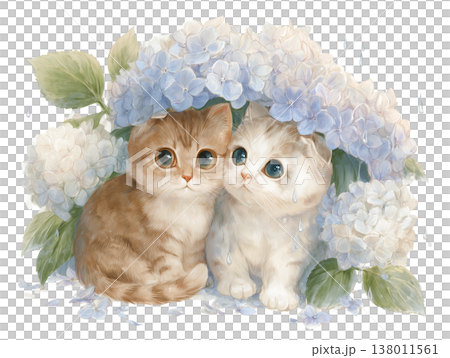 あじさいの下で仲良く雨宿りする2匹の猫 138011561