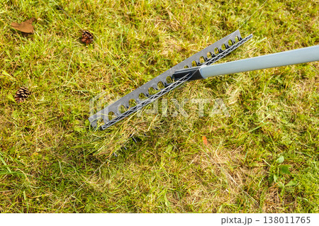Person raking leaves 138011765