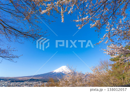 【春素材】新倉山浅間公園から見る富士山と桜【山梨県】 138012057