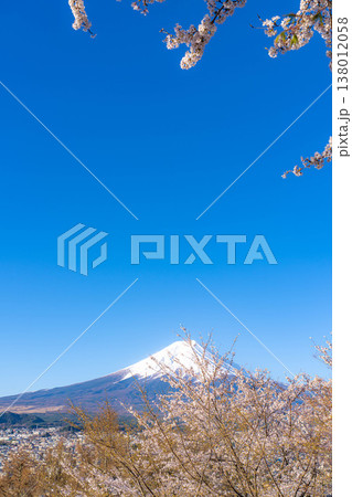 【春素材】新倉山浅間公園から見る富士山と桜【山梨県】 138012058