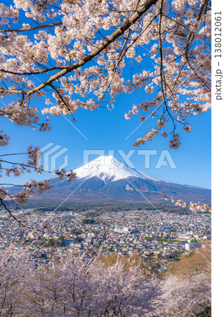 【春素材】新倉山浅間公園から見る富士山と桜【山梨県】 【春素材】新倉山浅間公園から見る富士山と桜【山梨県】 138012061
