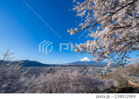 【春素材】新倉山浅間公園から見る富士山と桜【山梨県】 【春素材】新倉山浅間公園から見る富士山と桜【山梨県】 138012069