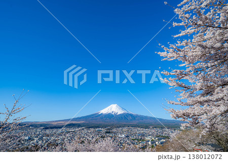 【春素材】新倉山浅間公園から見る富士山と桜【山梨県】 【春素材】新倉山浅間公園から見る富士山と桜【山梨県】 138012072