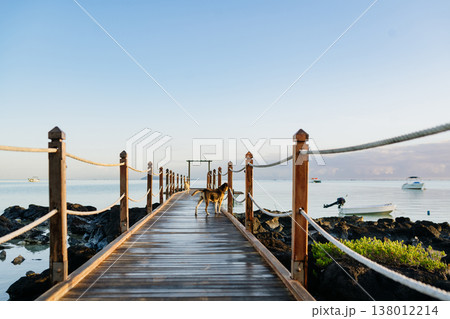 Tropical beach jetty in Mauritius resort with turquoise sea and greenery. 138012214