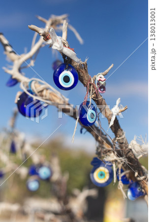 Blue glass evil eye charms hanging on tree branches in Cappadocia Turkey 138013001