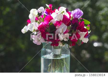 Beautiful bouquet of colorful sweet pea flowers in a glass jar outdoors under bright sunlight Beautiful bouquet of colorful sweet pea flowers in a glass jar outdoors under bright sunlight 138013014