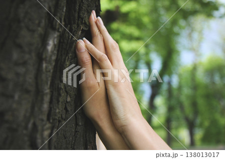 Two hands gently touching the rough bark of a tree 138013017