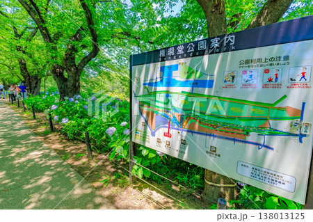 埼玉県 幸手市　権現堂桜堤　あじさいまつり 138013125