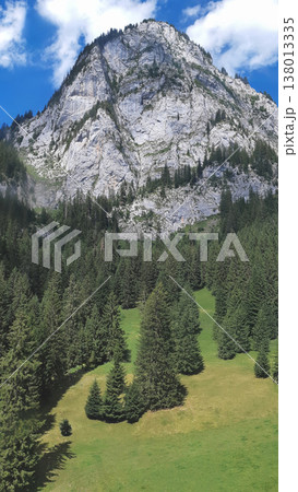 Majestic limestone mountain peak with evergreen forest and green meadows 138013335