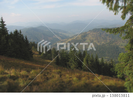 Scenic mountain vista featuring lush evergreen forests and rolling green ridges in the Ukrainian Carpathians 138013811