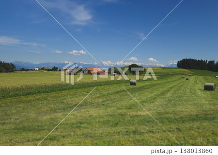 Traditional Swiss farmhouse and hay fields with Bernese Alps background Traditional Swiss farmhouse and hay fields with Bernese Alps background 138013860