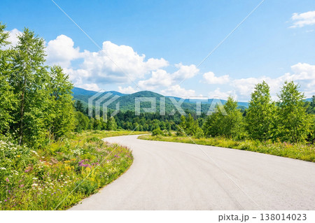 初夏の新緑と道路の風景背景素材 138014023