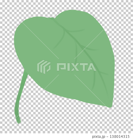 Simple leaf illustration 138014315