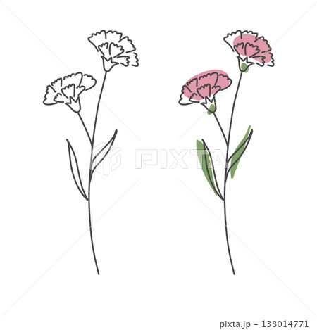 手描き風カーネーション ピンクの花 母の日素材 138014771