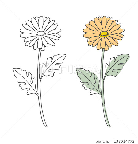 手描き風ガーベラ オレンジ色のナチュラルな花 138014772