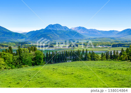 新緑の飯田高原 138014864