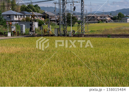 京都市内で撮影した自転車のマナーの現場を撮影 138015484
