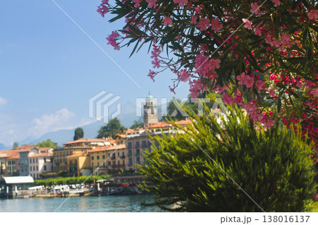 Blooming pink oleander flowers framing a scenic view of Bellagio town on Lake Como 138016137