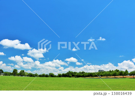 爽やかな夏の青空と公園の風景 138016439
