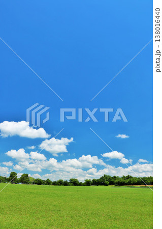 爽やかな夏の青空と公園の風景 爽やかな夏の青空と公園の風景 138016440