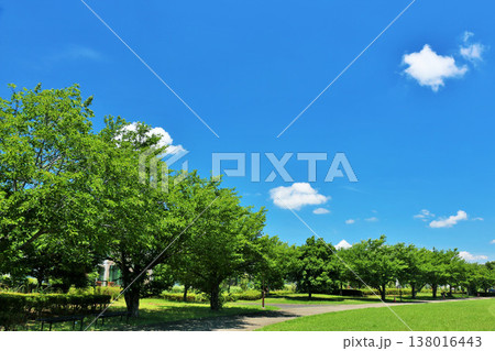 爽やかな夏の青空と公園の風景 138016443
