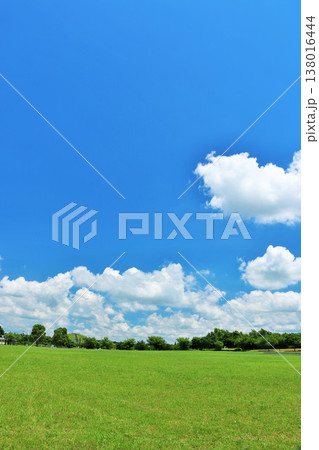 爽やかな夏の青空と公園の風景 138016444