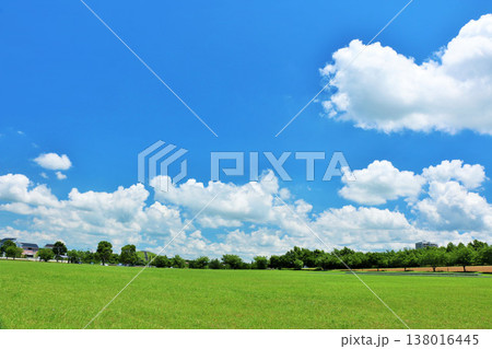 爽やかな夏の青空と公園の風景 138016445