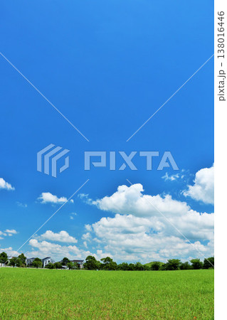 爽やかな夏の青空と公園の風景 爽やかな夏の青空と公園の風景 138016446