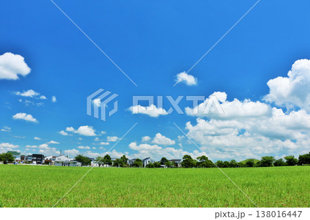 爽やかな夏の青空と公園の風景 138016447