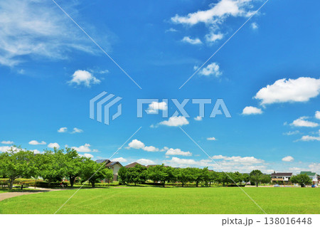 爽やかな夏の青空と公園の風景 138016448