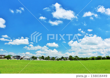 爽やかな夏の青空と公園の風景 138016449