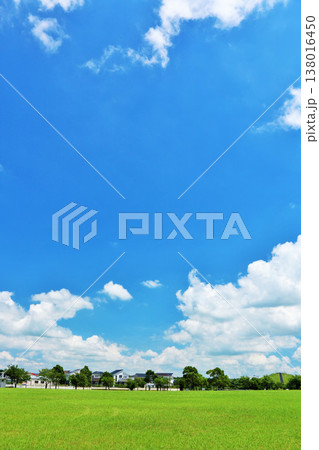 爽やかな夏の青空と公園の風景 爽やかな夏の青空と公園の風景 138016450