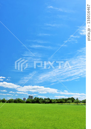 爽やかな夏の青空と公園の風景 138016467
