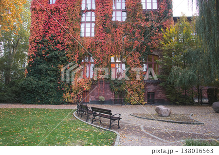 Vibrant ivy-covered brick building overlooking a park courtyard Vibrant ivy-covered brick building overlooking a park courtyard 138016563