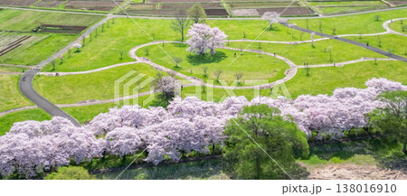 空撮「岩手県」満開の桜咲く北上展勝地 北上市 空撮「岩手県」満開の桜咲く北上展勝地 北上市 138016910