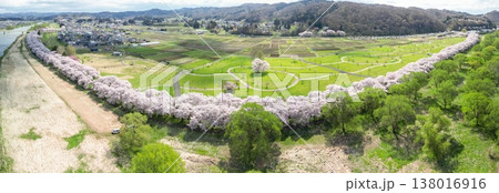 空撮「岩手県」満開の桜咲く北上展勝地 北上市 空撮「岩手県」満開の桜咲く北上展勝地 北上市 138016916