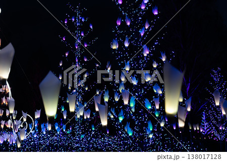 冬の夜のイルミネーション 138017128