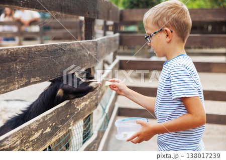 Boy Feeding Goat at Outdoor Animal Enclosure Boy Feeding Goat at Outdoor Animal Enclosure 138017239