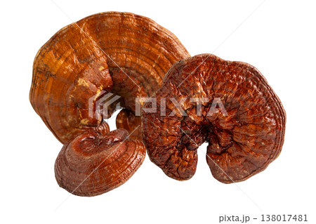 Dried lingzhi mushroom with capsule drug, alternative medicine herbal organic herb. 138017481