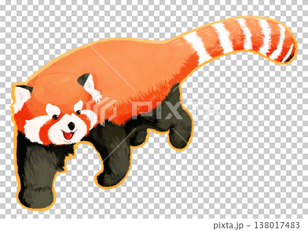のしのし歩いているレッサーパンダのイラスト 138017483