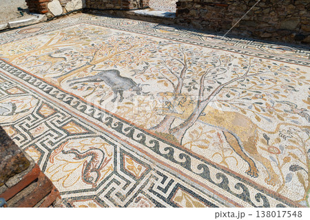 Colorful Roman mosaics in Heraclea Lyncestis, North Macedonia Colorful Roman mosaics in Heraclea Lyncestis, North Macedonia 138017548