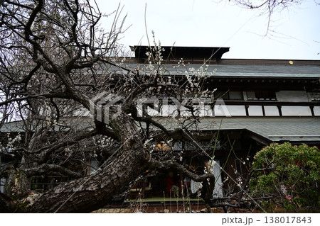 【耕心館】江戸時代末期から大正時代の建築様式 【耕心館】江戸時代末期から大正時代の建築様式 138017843