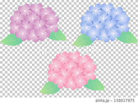 A simple set of hydrangea flowers and leaves for the rainy season | Hydrangea, Flower, Leaf, Plant A simple set of hydrangea flowers and leaves for the rainy season | Hydrangea, Flower, Leaf, Plant 138017975