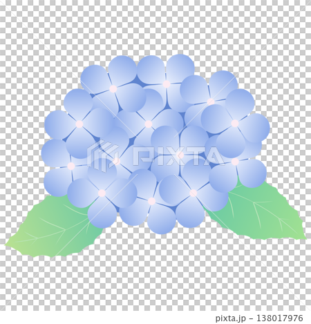 Simple decorative material of hydrangea flowers and leaves for the rainy season | Hydrangea, Flower, Leaf, Plant 138017976