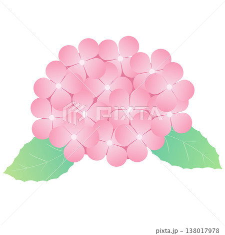 梅雨のあじさいの花と葉のシンプルな装飾素材|紫陽花 花 葉 植物 梅雨のあじさいの花と葉のシンプルな装飾素材|紫陽花 花 葉 植物 138017978