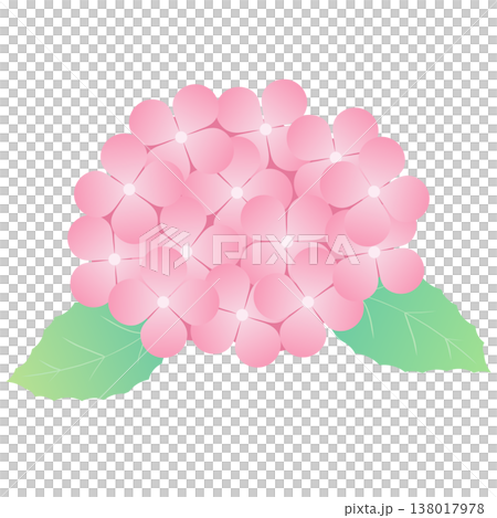 Simple decorative material of hydrangea flowers and leaves for the rainy season | Hydrangea, Flower, Leaf, Plant Simple decorative material of hydrangea flowers and leaves for the rainy season | Hydrangea, Flower, Leaf, Plant 138017978