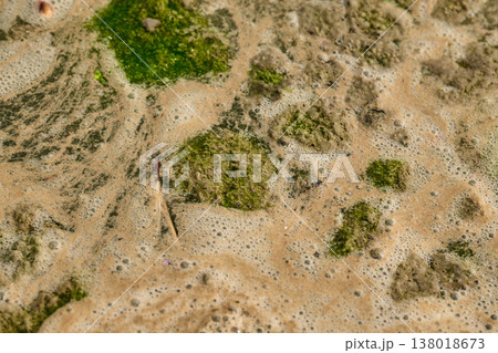 Overhead view of toxic algal bloom, moss, and bubbles polluting a lake or pond environment Overhead view of toxic algal bloom, moss, and bubbles polluting a lake or pond environment 138018673