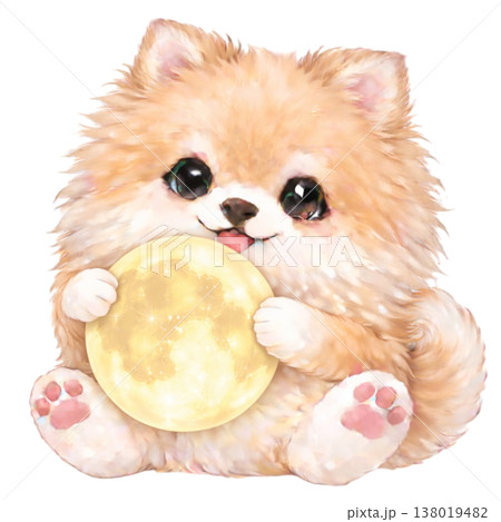 満月を持ったポメラニアンのイラスト 138019482