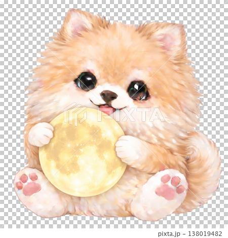 満月を持ったポメラニアンのイラスト 138019482